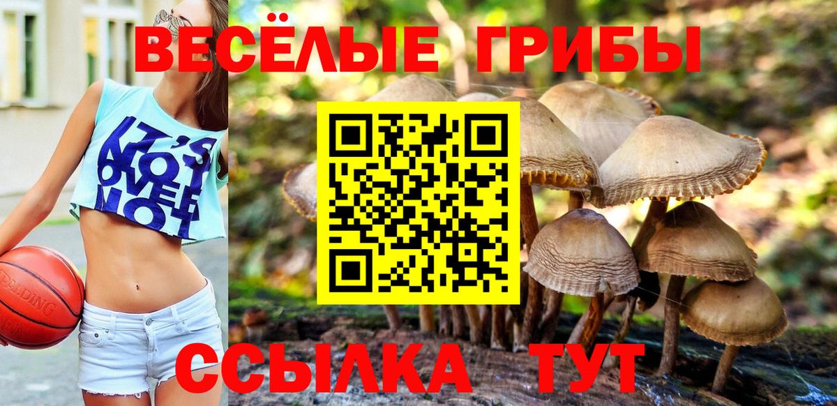 Галлюциногенные грибы прущие грибы Малоярославец